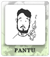 Pantu